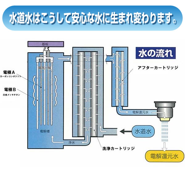 �����d���Ҍ����@�V�n�̌b�݁@�������f���@�򐅊�